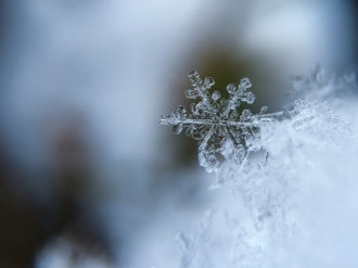 Сезонът на промените: Как да преобразим зимата и да избегнем риска от меланхолия